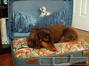 Maison de chien из чемодана